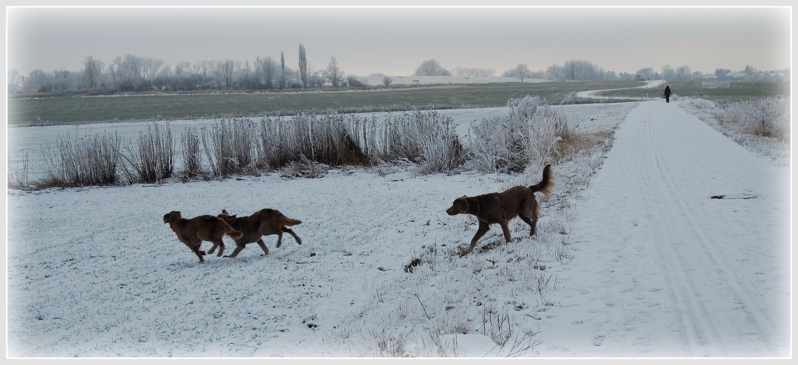 DSC_0039.jpg